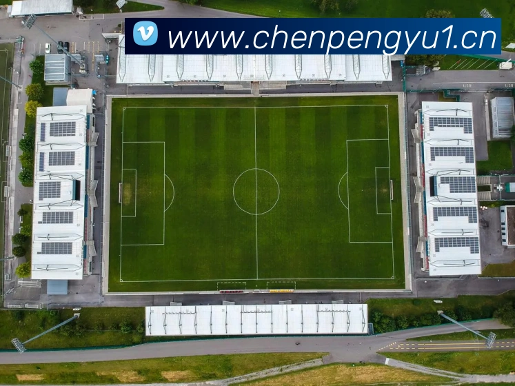 mksports在线登录入口品牌故事